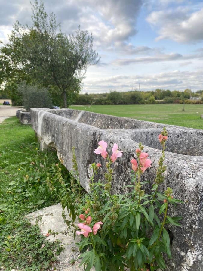 Domaine De La Laigne - Spa Asnieres-la-Giraud Exterior photo